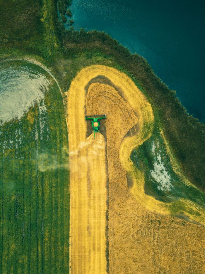 Aerial view of a harvester working in North Dakota farmland next to water.